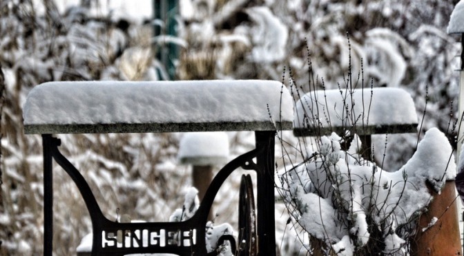 Wintervögel