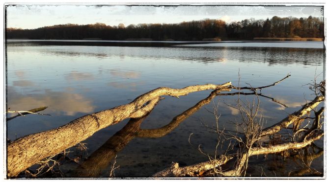 Am Straussee