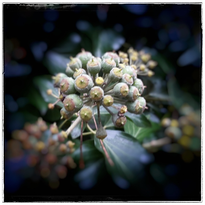 Bilder eines (grauen) Tages