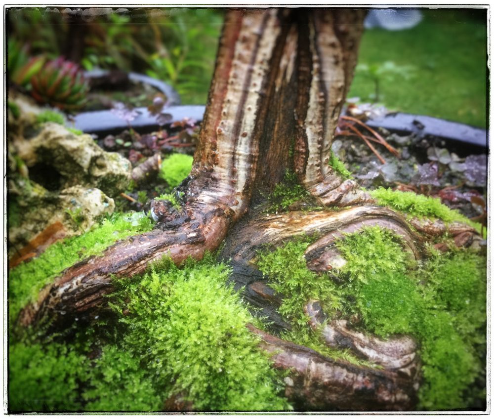 88454526F15D45D5A5A7941E3B4D5813 AustenWeb