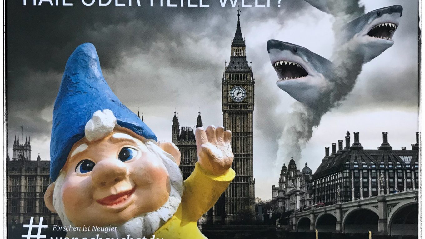 Bild des Tages – Haie oder heile Welt?