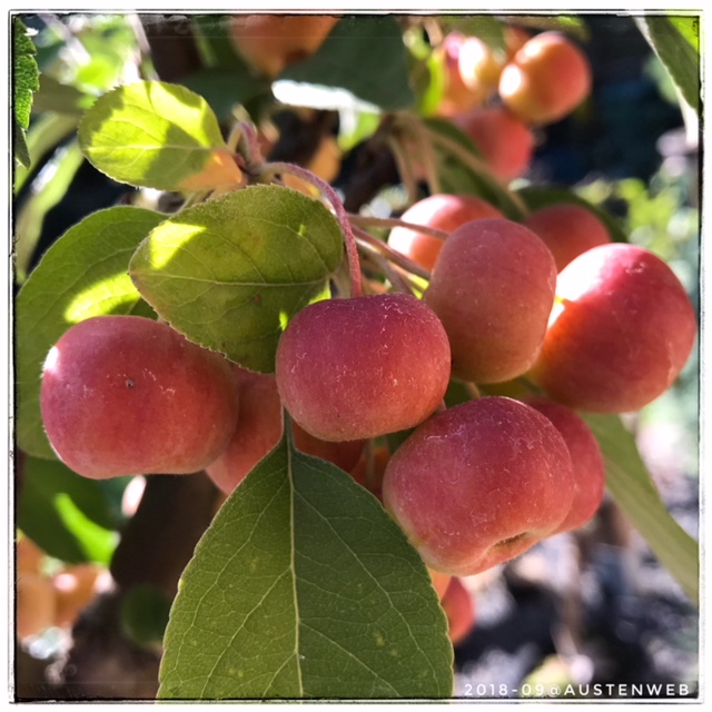 Bilder des Tages – sonniger Spätsommertag