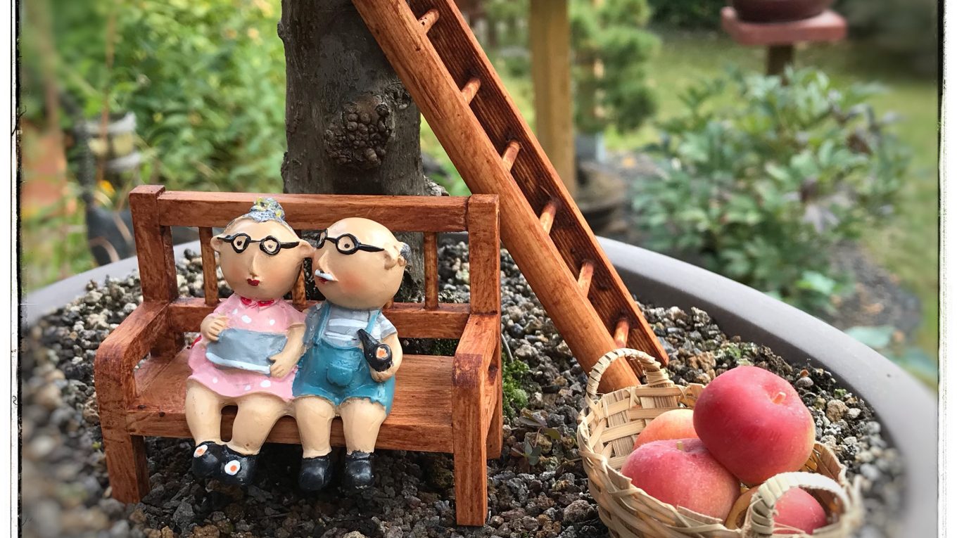 Bild des Tages – Willkommen im Herbst