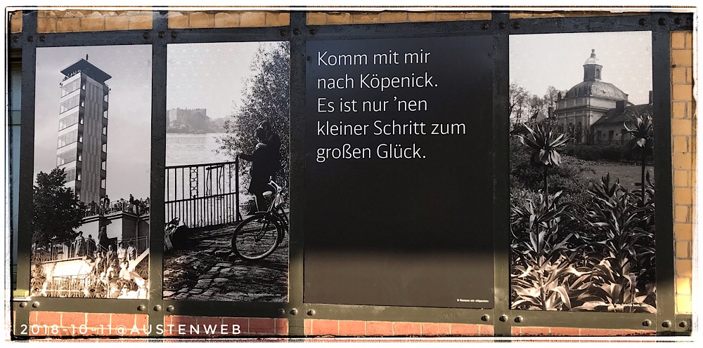 Bild des Tages – Romano, der Poet