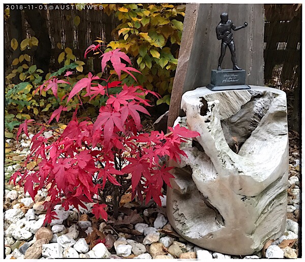 Bild des Tages – Herbstrot