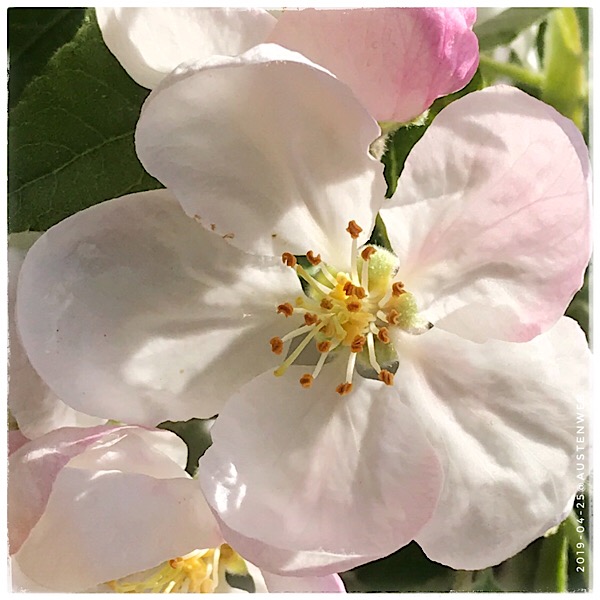 Bilder des Monats – April 2019