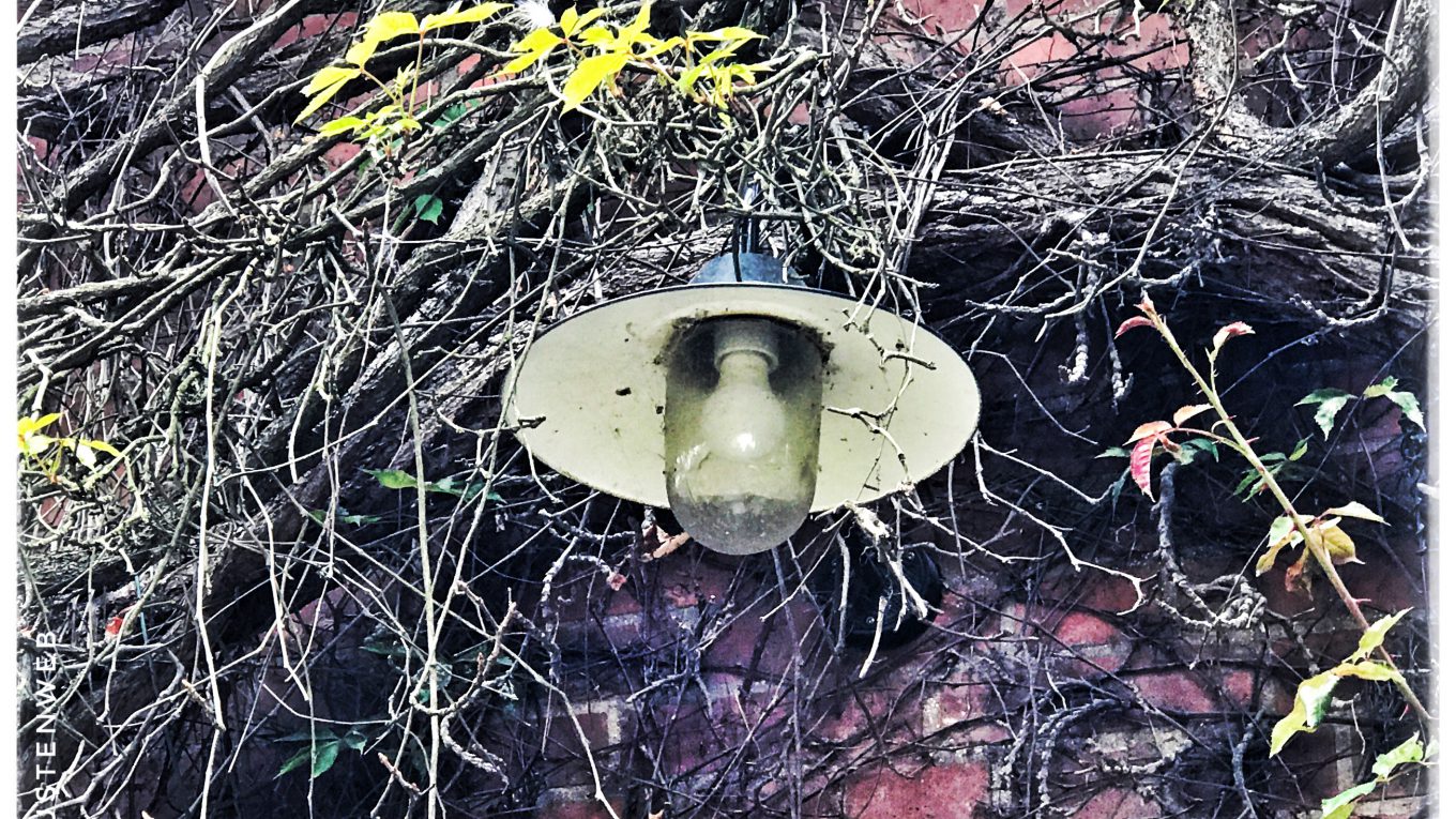 Bilder des Monats – Mai 2019