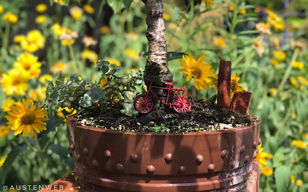 Bilder des Monats – Juli 2019