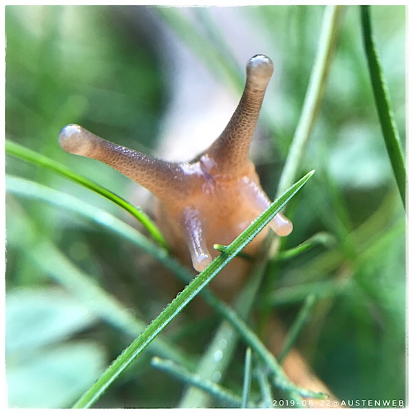 Bilder des Monats – August 2019
