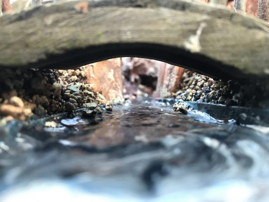 Bilder des Monats – November 2019