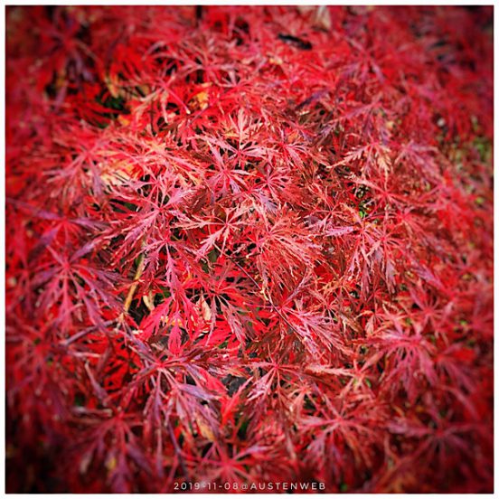 Herbsttag