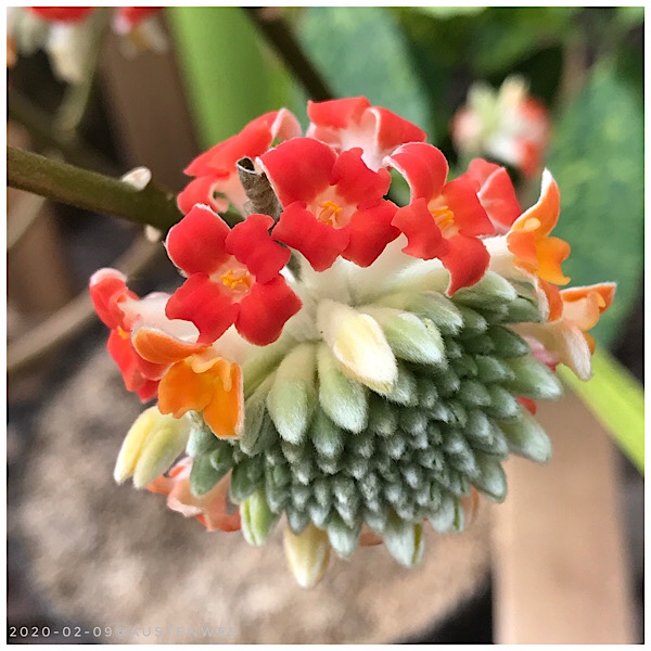 Bilder des Monats – Februar 2020