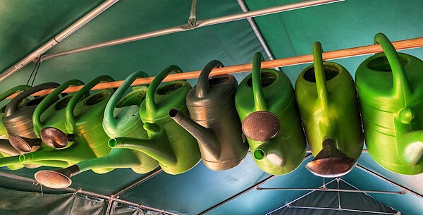 Bilder des Monats – Februar 2021