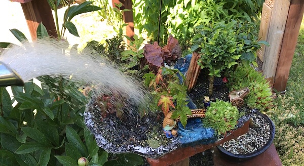 Nachladen – 1200 Liter Bonsai-Leben
