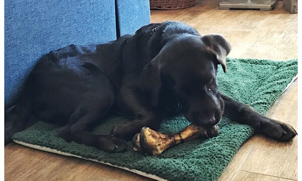 Coopers kleine Sunday-News
