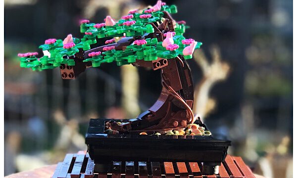 Der Bonsai-Nerd im Bastelmodus