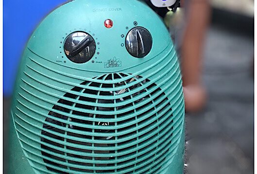 Wintervorbereitung für die stämmigen Freunde