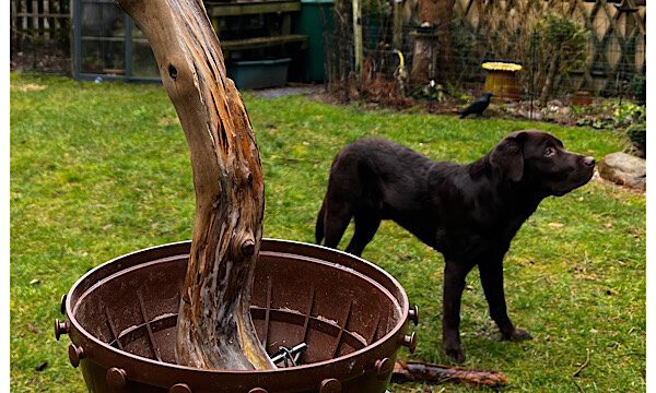 Coopers Monatsblog Februar 2022