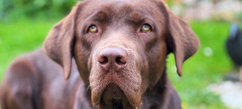 Coopers – ein Mann muss seinen Weg gehen