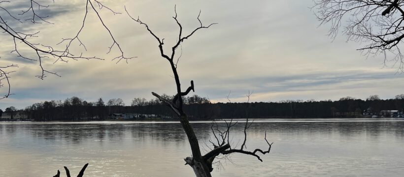 Bilder des Monats – Februar 2023