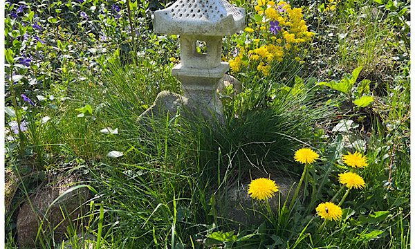 Bilder des Monats – Mai 2023