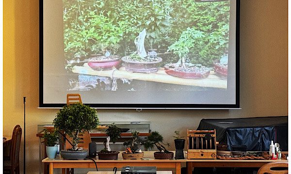 Mein Vortrag über Bonsai in Müggelheim