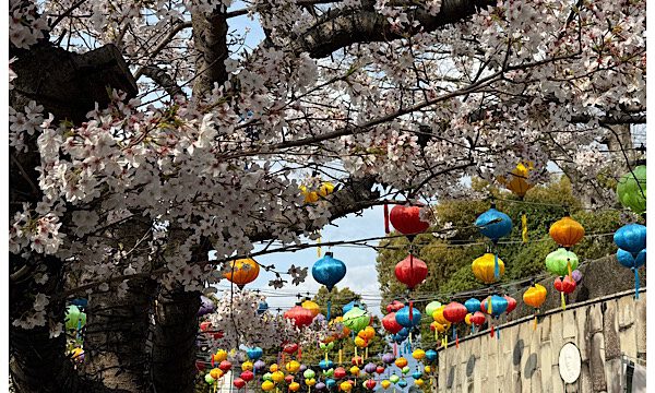 Japanreise 13. Tag – Nagasaki: Auf den Spuren alter Handelswege
