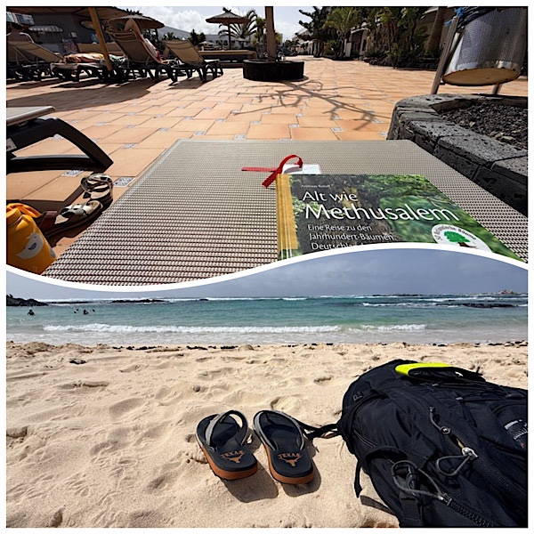 Tag 7 auf Fuerteventura – Pool, Wellen und ein perfekter letzter Urlaubstag in El Cotillo